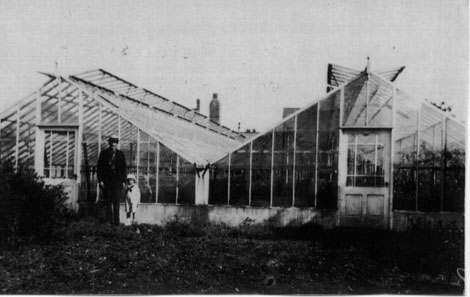 Anderson greenhouses.JPG